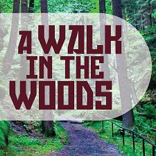Post image for Los Angeles Theater Review: A WALK IN THE WOODS (Lonny Chapman Theatre in North Hollywood)