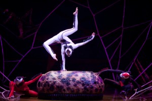 Cirque du Soleil’s Ovo on the Santa Monica Pier – directed by Deborah Colker – Los Angeles Theater Review by Jason Rohrer