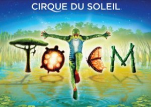 Milo Shapiro San Diego Review of Cirque du Soleil Totem