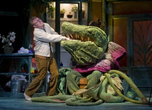 Dan Zeff’s Stage and Cinema review of Theatre at the Center’s LITTLE SHOP OF HORRORS