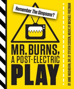 Post image for Regional Theater Review: MR. BURNS, A POST-ELECTRIC PLAY (Woolly Mammoth in D.C.)