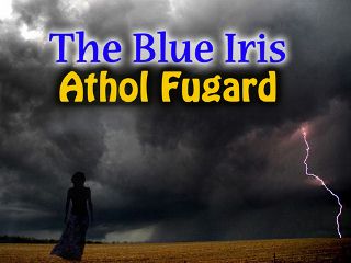 Post image for Los Angeles Theater Review: THE BLUE IRIS (Fountain Theatre)