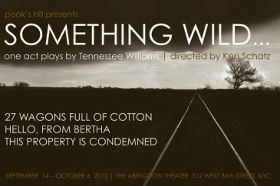 Post image for Off-Off-Broadway Theater Review: SOMETHING WILD… (Abingdon Theater)