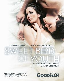 Post image for Chicago Theater Review: SWEET BIRD OF YOUTH (Goodman Theatre)