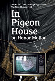 Post image for Chicago Theater Review: IN PIGEON HOUSE (Seanachaí)