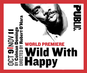 Post image for Off Broadway Theater Review: WILD WITH HAPPY (The Public Theater)
