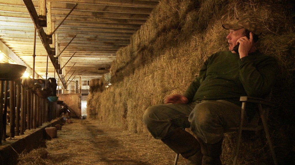 Film Review: BETTING THE FARM (directed By Cecily Pingree And Jason ...