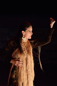 Tony Frankel's Stage and Cinema LA Dance Review of the Fountain Theatre's "Forever Flamenco! at the Ford."
