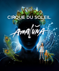 Post image for San Francisco and Tour Theater Review: AMALUNA (Cirque du Soleil)