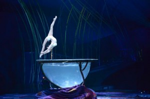 Amaluna Cirque du Soleil, Water Bowl