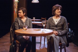 Elizabeth Ledo (left) as Rachel Hardeman and Janet Ulrich Brooks as Zelda Kahn, both brilliant evolutionary biologists who spar over differing views on evolution, feminism and generational divides in modern America in TimeLine Theatre's production of THE HOW AND THE WHY by Sarah Treem, directed by Keira Fromm, presented at TimeLine Theatre.