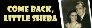 Post image for Los Angeles Theater Review: COME BACK, LITTLE SHEBA (A Noise Within)
