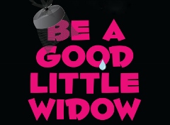 Post image for Los Angeles Theater Review: BE A GOOD LITTLE WIDOW (NoHo Arts Center in North Hollywood)