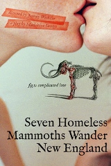 Post image for Chicago Theater Review: SEVEN HOMELESS MAMMOTHS WANDER NEW ENGLAND (Theater Wit)