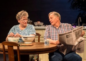 Alyson Reed and Sam Anderson in different words for the same thing at the Kirk Douglas Theatre.