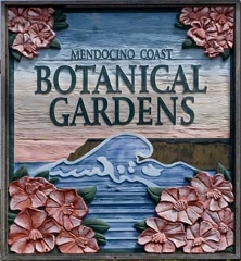 Post image for Regional Attraction Review: MENDOCINO COAST BOTANICAL GARDENS (Fort Bragg, CA)