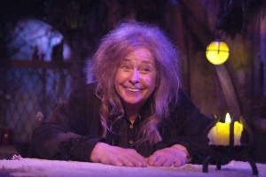 Jenny O’Hara stars in BROOMSTICK at the Fountain Theatre. Photo by Ed Krieger.