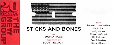 Post image for Off-Broadway Theater Review: STICKS AND BONES (The New Group)
