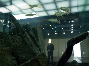 Installation view of the exhibition Pierre Huyghe at the Centre Georges Pompidou, September 2013–January 2014, (© Pierre Huyghe)