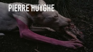 Post image for Los Angeles Art Exhibit Review: PIERRE HUYGHE (Los Angeles County Museum of Art)