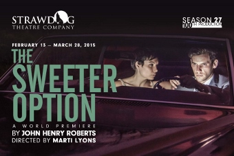 Post image for Chicago Theater Review: THE SWEETER OPTION (Strawdog Theatre Company)