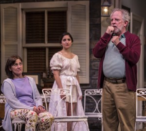 Janet Ulrich Brooks (Sonia), Rebecca Buller (Nina) and Ross Lehman (Vanya) in Vanya and Sonia and Masha and Spike by Christopher Durang, directed by Steve Scott at Goodman Theatre.