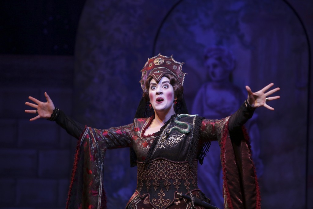 Chicago Opera Review: AMADIGI DI GAULA (Haymarket Opera Company ...