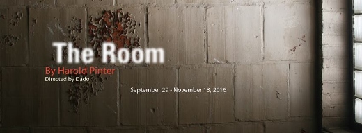 Post image for Chicago Theater Review: THE ROOM (A Red Orchid)