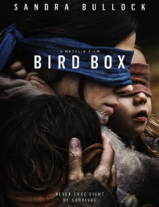 Post image for Film Review: BIRD BOX (directed by Susanne Bier)