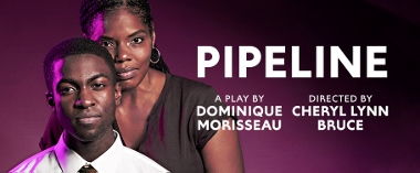 Post image for Chicago Theater Review: PIPELINE (Victory Gardens)