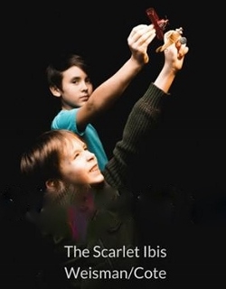 Post image for Review: THE SCARLET IBIS (Chicago Opera Theater)