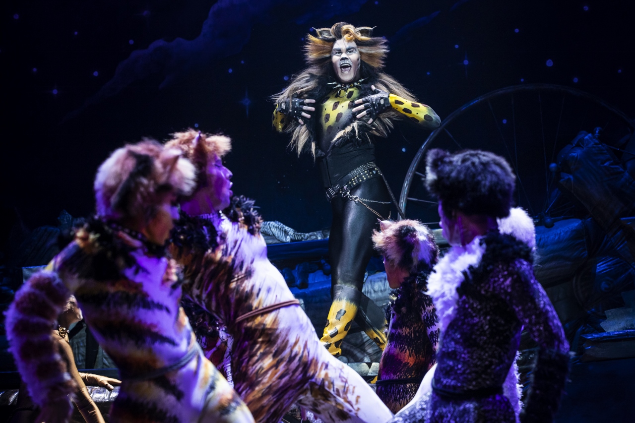 cats the tour