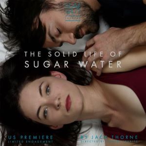 Post image for Los Angeles Theater Review: THE SOLID LIFE OF SUGAR WATER (Deaf West Theatre at Inner-City Arts)