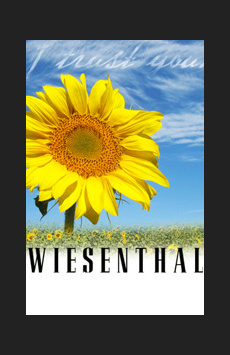 Post image for Theater Review: WIESENTHAL (The Wallis)