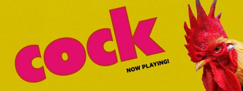 Post image for Theater/Film Review: COCK (Studio Theatre in D.C.)