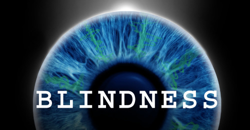 Post image for NY Theater: BLINDNESS (Donmar Warehouse at the Daryl Roth)