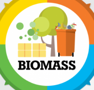 Post image for Extras: TOP BIOMASS ENERGY FACTS YOU SHOULD KNOW