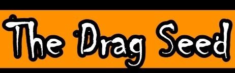 Post image for Chicago and Off-Broadway Theater: THE DRAG SEED (Hell in a Handbag Productions at The Chopin and LaMama)