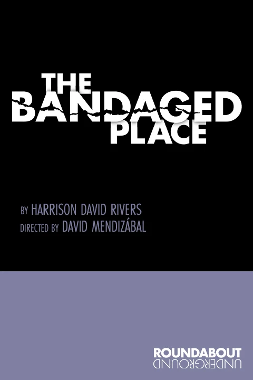 Post image for Off-Broadway Review: THE BANDAGED PLACE (Roundabout Theatre Company)