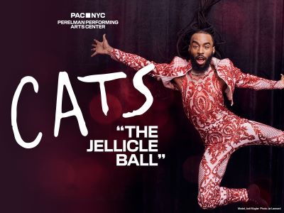 Post image for Theater Review: CATS: THE JELLICLE BALL (PAC/NYC)