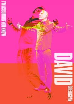A vibrant poster featuring a dancer with bold pink and orange hues and the name David.