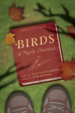 A worn copy of 'Birds of North America' book on a green surface.