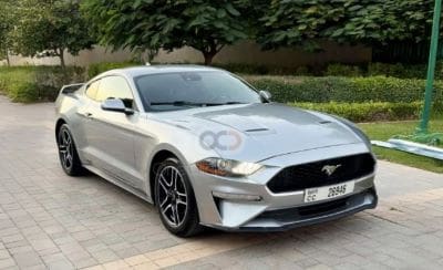 Silver Ford Mustang parked on a driveway with greenery in the background.