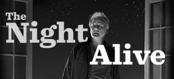 THE-NIGHT-ALIVE-at-Steppenwolf-POSTER.