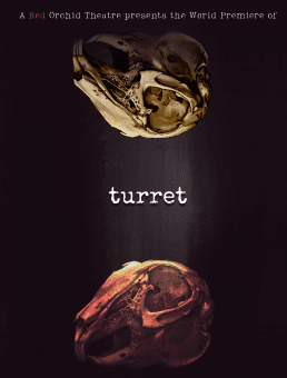 Two skulls labeled 'turret' against a dark background.
