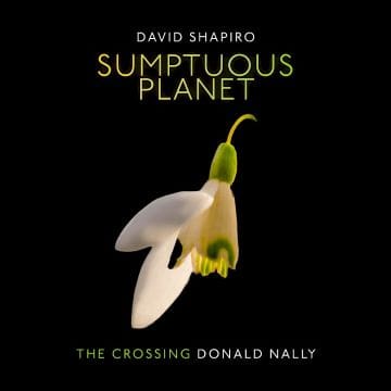 Book cover featuring a white flower with a green stem on a black background.
