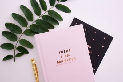 Pink gratitude journal with a gold pen and a green leaf.