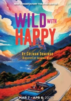 Colorful book cover titled 'Wild with Happy' featuring a vibrant landscape and sky.