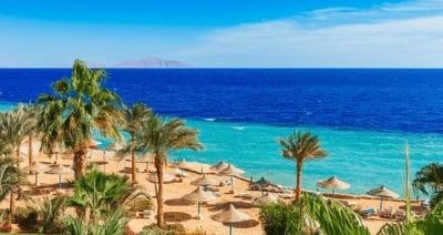 Sunny beach with palm trees and umbrellas by the clear blue sea.