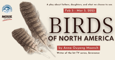 Poster for the play "Birds of North America" by Anna Ouyang Moench.